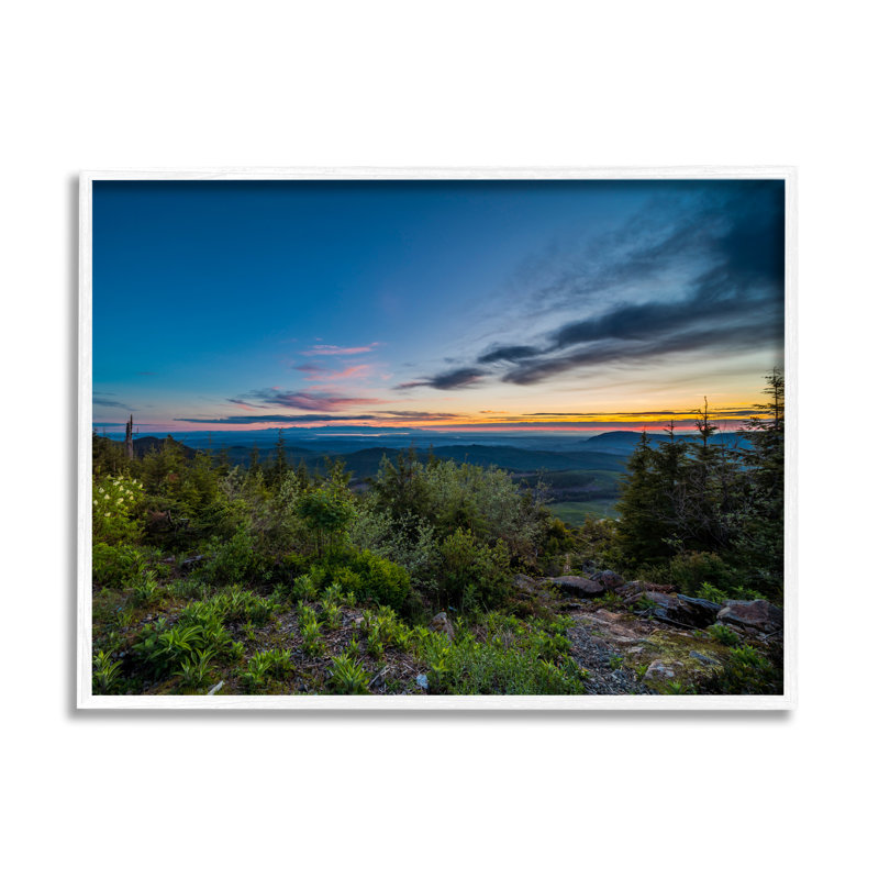 «Dense Brush Sunset Landscape Blue Sky Modern», H 11 po x l 14 po, Giclée encadrée blanc bord de mer