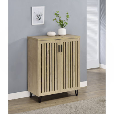 2-Door Storage Cabinet
