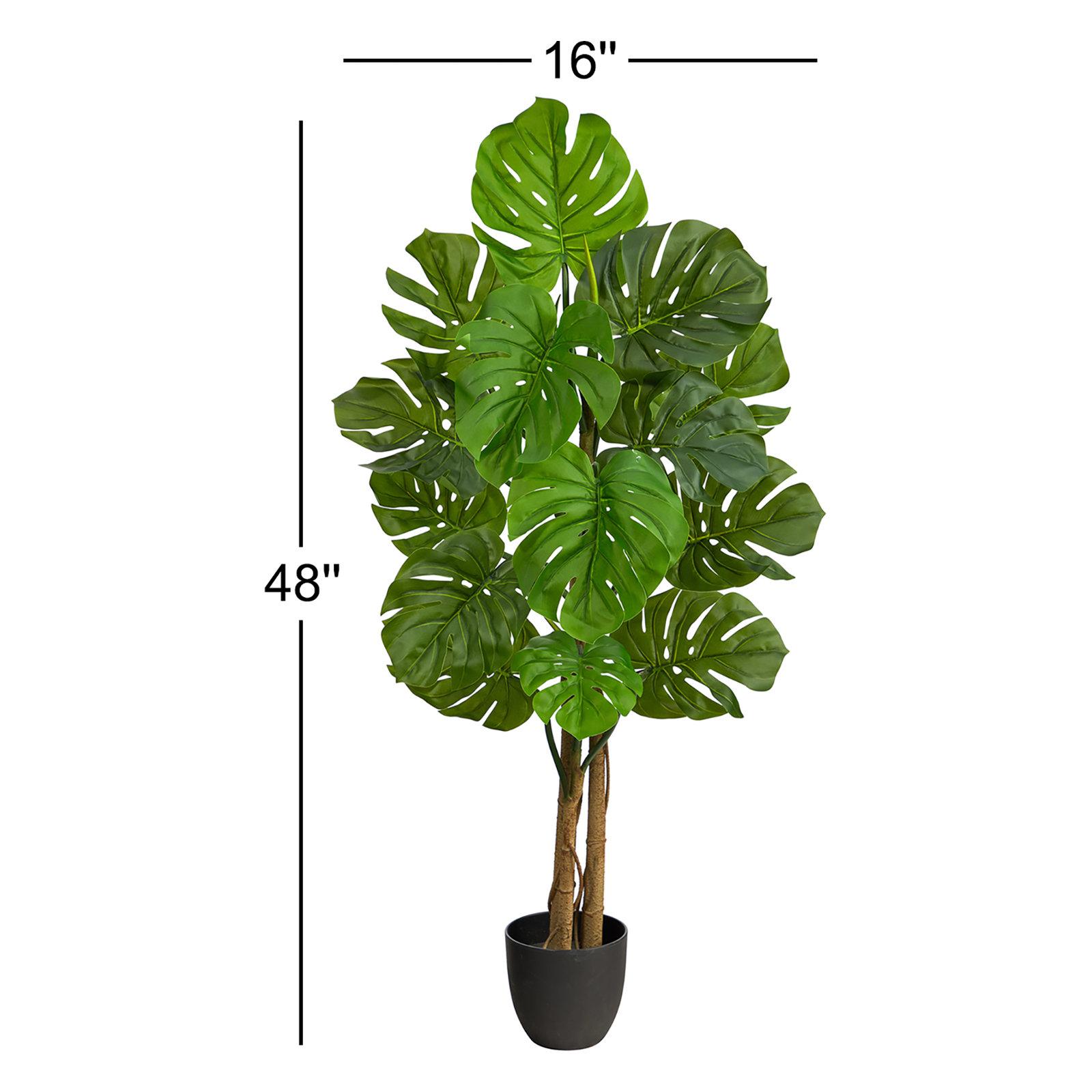 48" Monstera Tree in Pot
