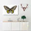 Green Birdwing Butterfly by George Shaw - Wrapped Canvas-55360578