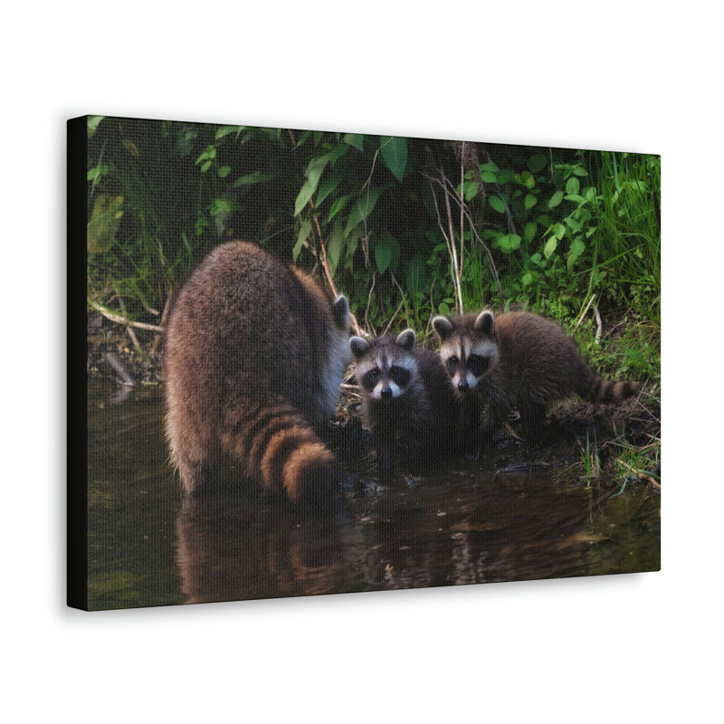 No Frame Print on Canvas, 30.48cm H x 45.72cm W