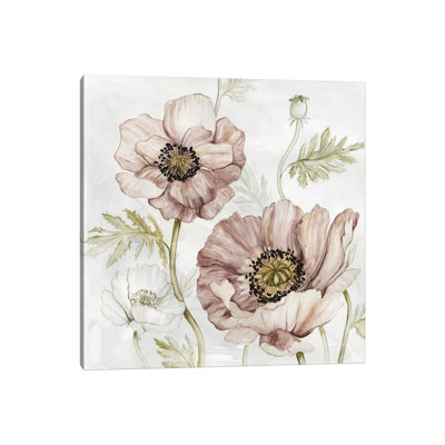 Washed Botanical IV by Carol Robinson - Print on Canvas