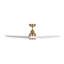 Smart LED Downrod Ceiling Fan-178158277