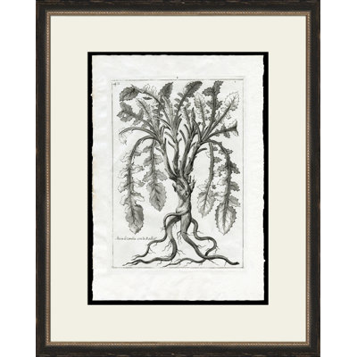 Rooted Plant I Painting