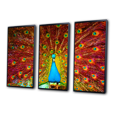 " Peacock Dancing " 3 - Pieces