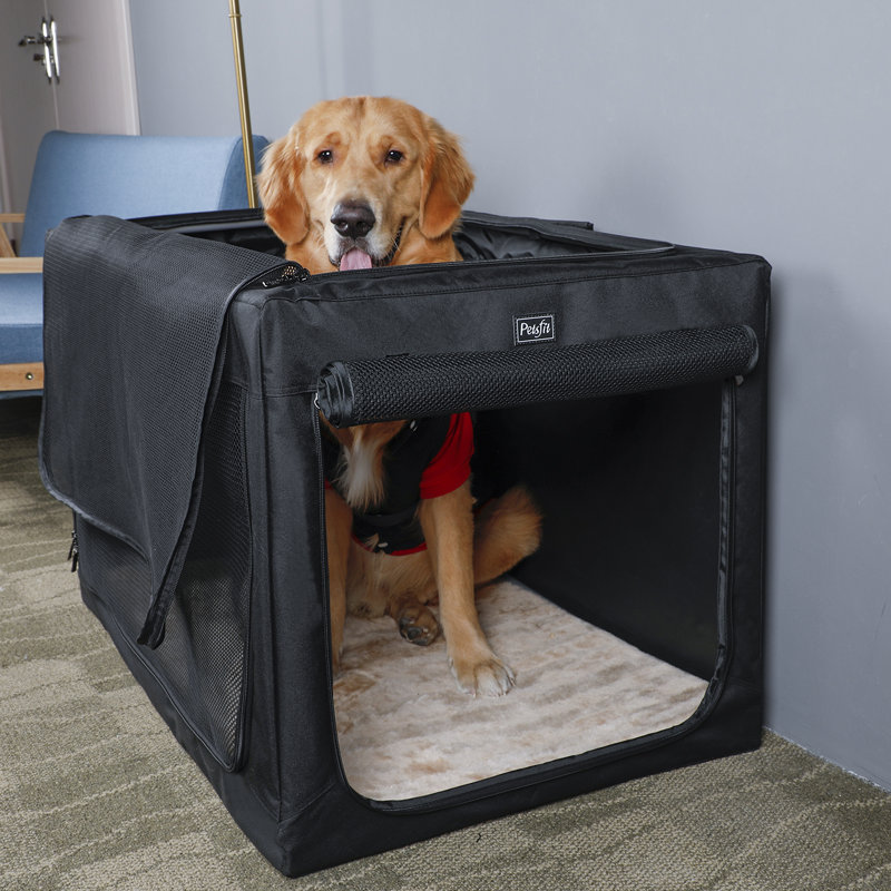 Cage pour chien Cozzi, Grand (H 23 po x l 24 po x P 35,5 po), Noir