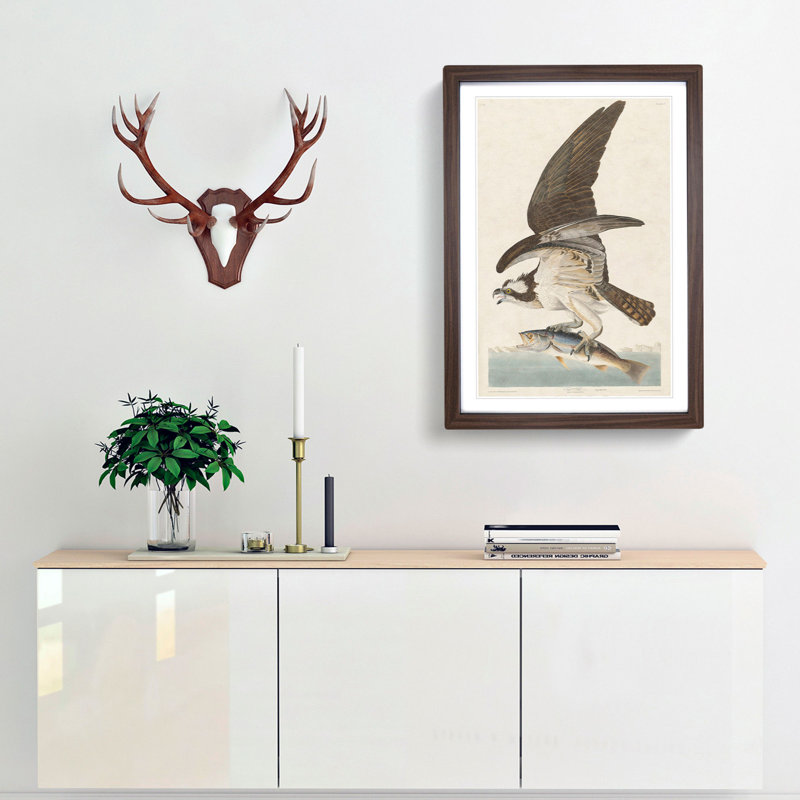 Osprey by John Audubon - Framed Print, Walnut Framed, 36cm H x 27cm W x 2cm D