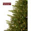 Artificial Fir Christmas Tree with Color & Clear Lights-582678218