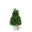 Faux Dracaena Plant-1861991714