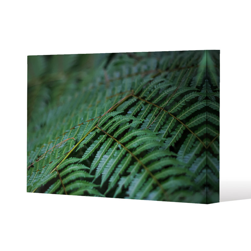 Andrew Lee - Wrapped Canvas Print