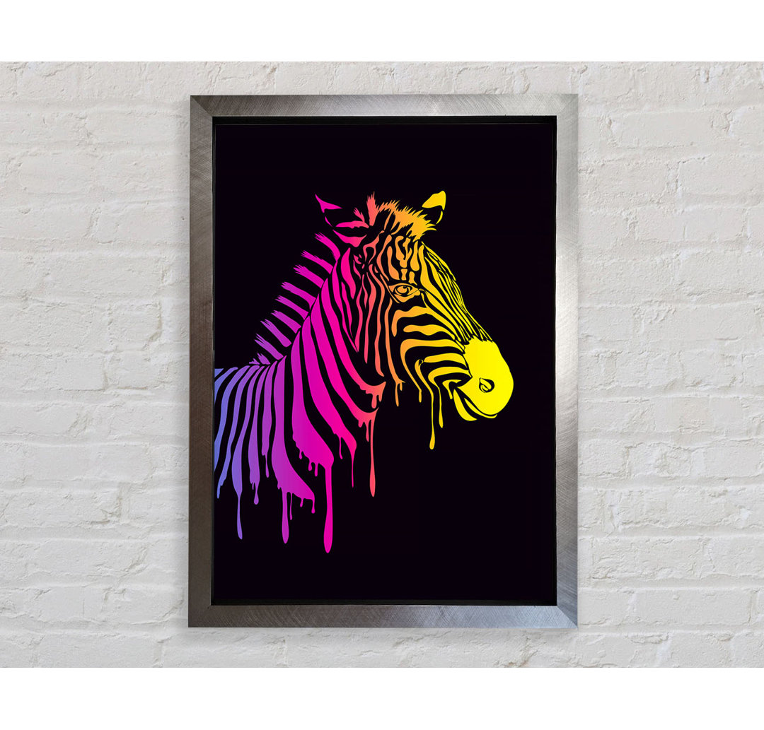 Zebra Regenbogen - Druck