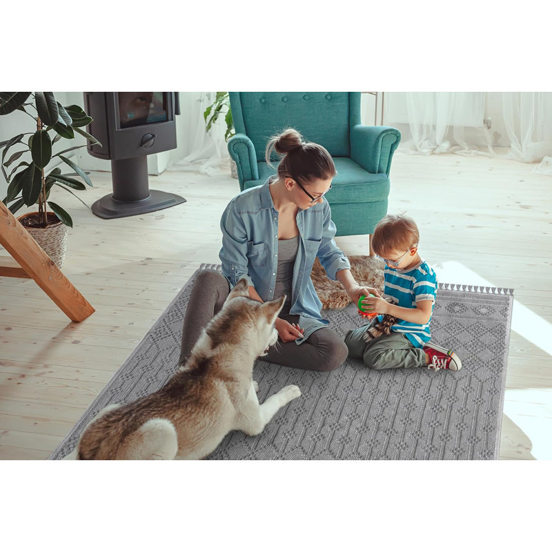 Indoor Area Rugs Low Pile Bedroom Rug Non Slip Floor Mat Washable Carpet Pads for Living Room A0127, Rectangle 60 x 90 cm
