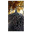 Reproduction de photo sur toile tendue-344156048