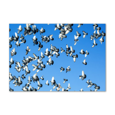 A Flock Of Pigeons - Wrapped Canvas Print