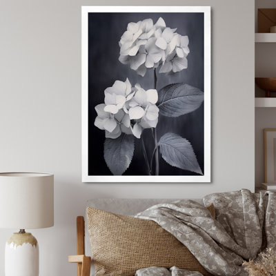 " Black White Hydrangea Blooming II "
