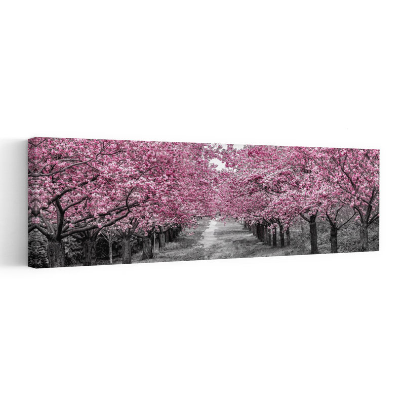 Pink Blossom Path by Melanie Viola - Wrapped Canvas Panoramic Print, 50.8 cm H x 152.4 cm W