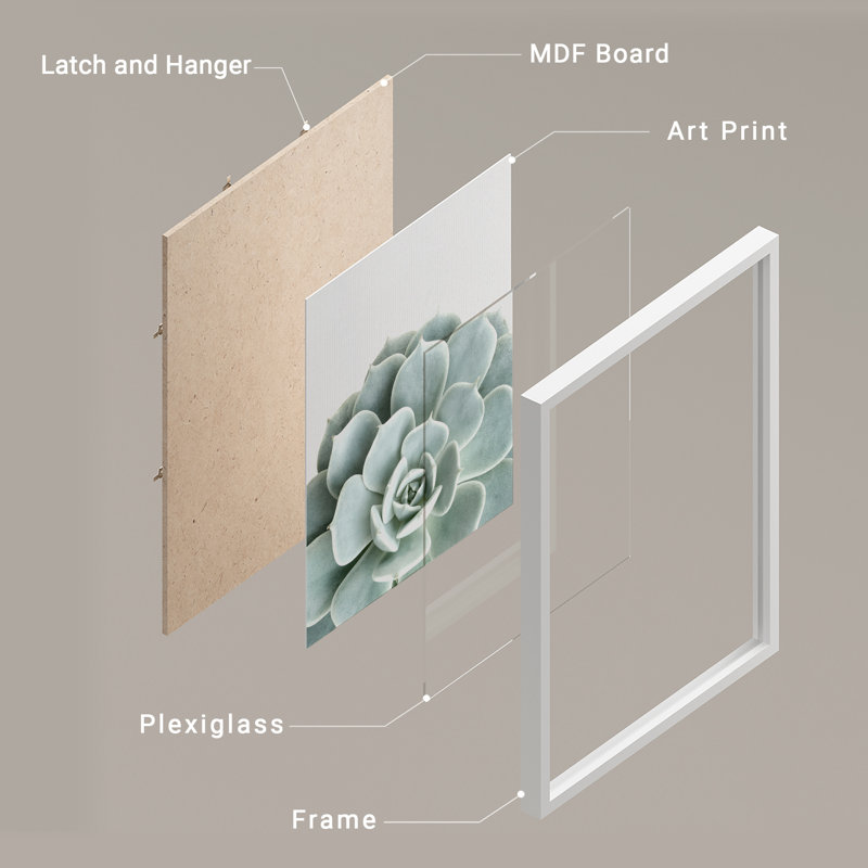 «Green Succulent Modern», reproduction d'art encadrée, affiches, salle de bain, petit art mural, Blanc / Blanc