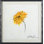 Robert Robinson " Colorful Flower 2 " by Robert Robinson