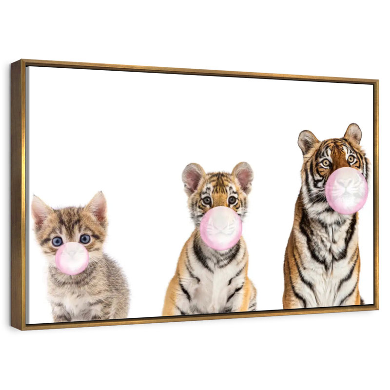 Bubble Gum Tigers, Cadre flottant doré, 19 po x 13 po