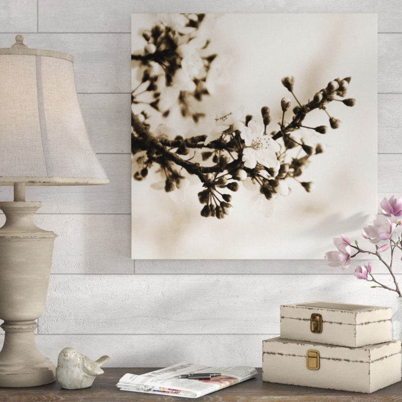 Pensée du début du printemps II par Sofia Fox - impression, H 24 po x l 24 po x P 1,5 po, Mat