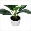 Plante artificielle, 17 po de hauteur, Aureum, intérieur, faux, faux, table, verdure, pot, véritable touche, décoratif, feuilles vertes, pot blanc