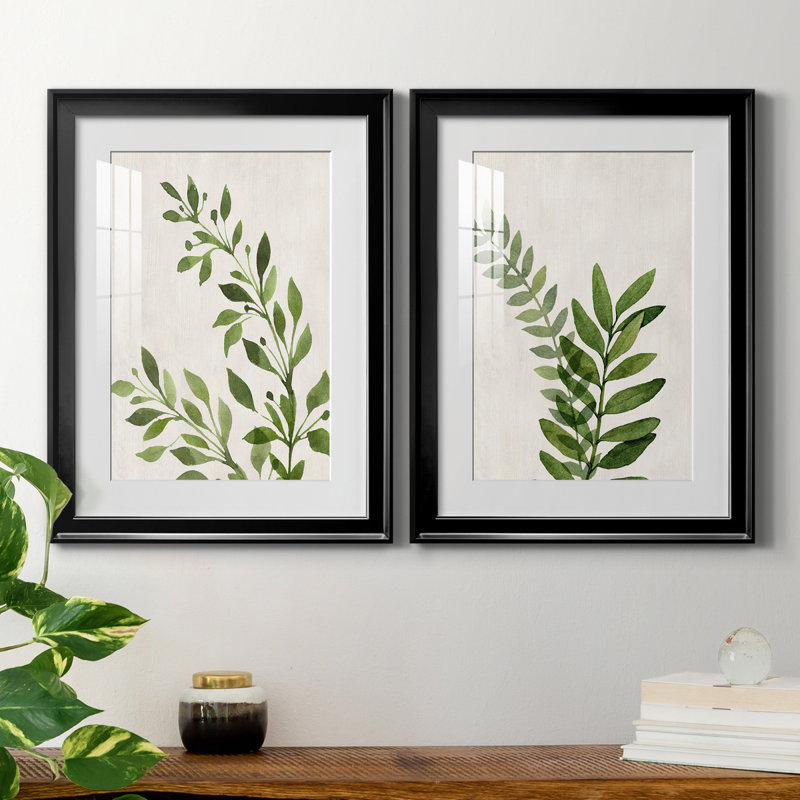 «Botanical Wash I», ensemble de 2 reproductions d'art sur toiles, H 18,5 po x l 49 po x P 1,5 po, Papier avec cadre noir