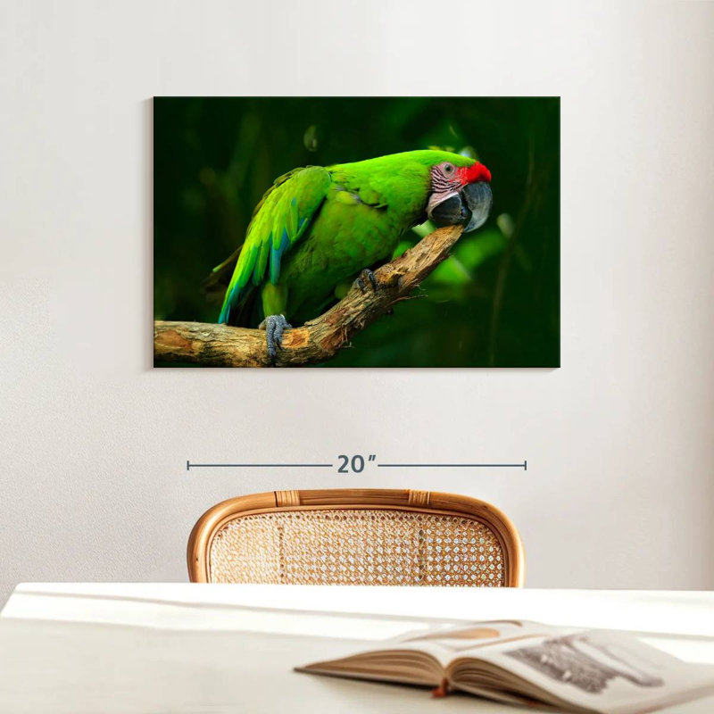 Military Macaw, 16" H x 24" W
