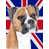 Boxer (beige et blanc)