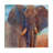 The Days Catch by Jan Panico - Painting on Canvas-56803765-42155688