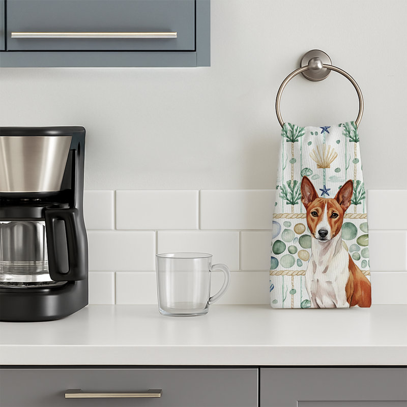Torchon rouge et blanc Basenji, Basenji rouge et blanc