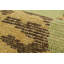 Distressed Homage Animal Print Area Rug-477228531