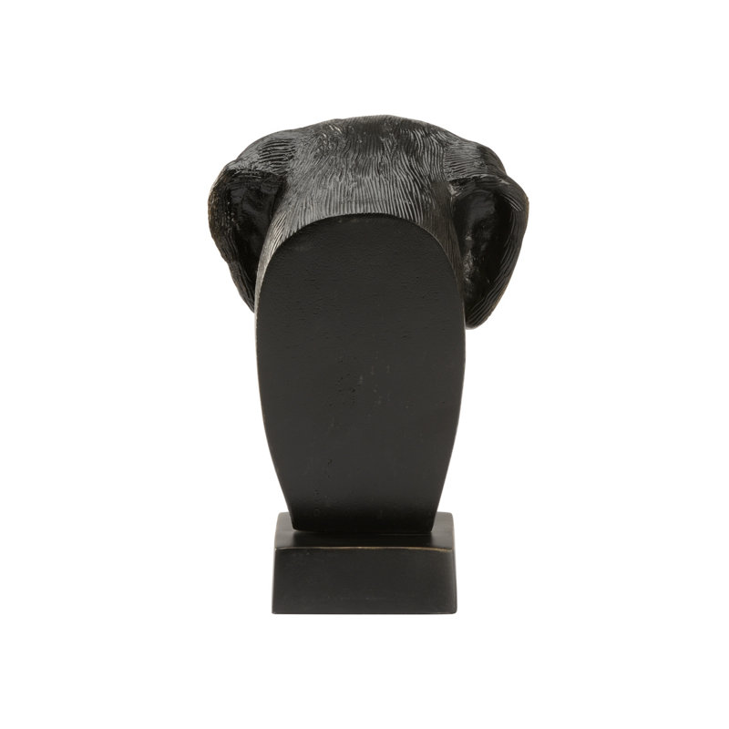 Dex Bust