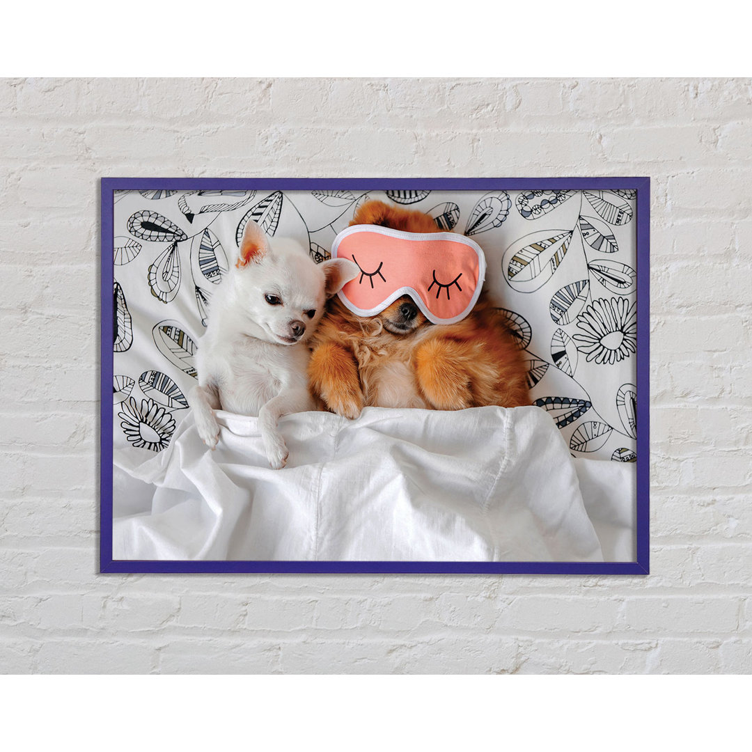 Gerahmter Kunstdruck Chihuahua Bedtime Dog Love