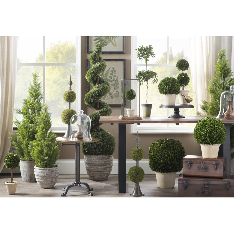 Preserved Greens Ball in Pot, Medium