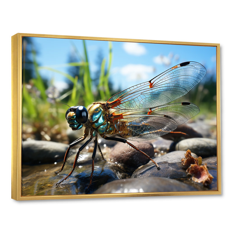 Libellule bleue flottante II - Libellule, art mural, Cadre flottant doré, H 30 po x l 40 po x P 1,5 po