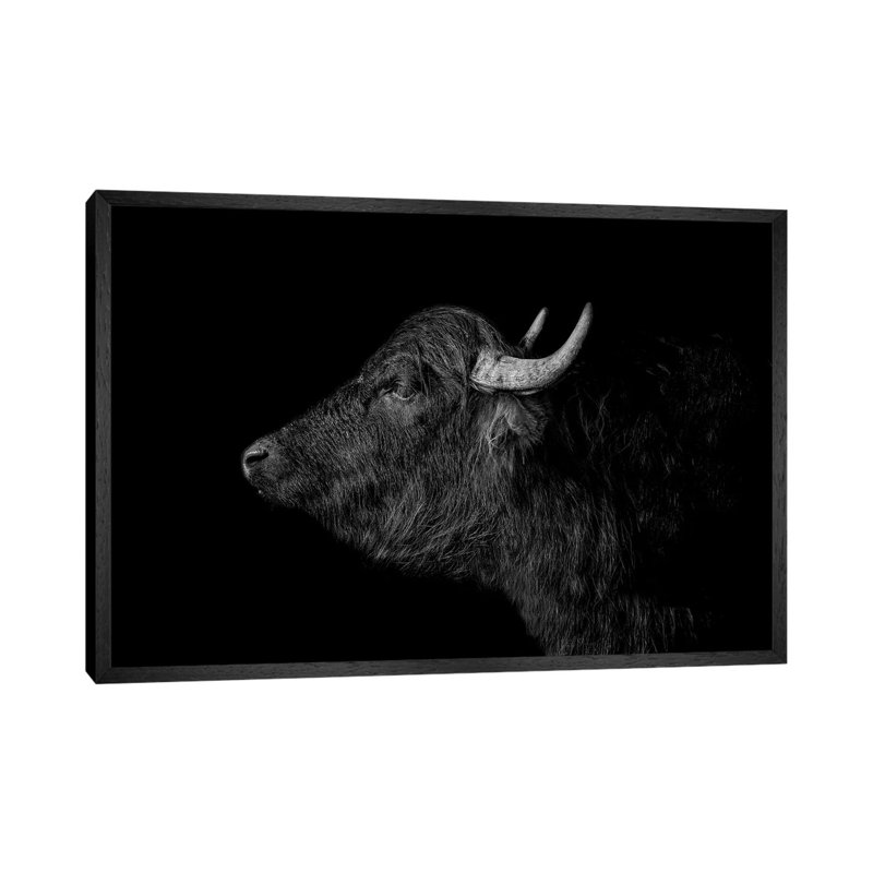 Buffalo - Print on Canvas, Black Framed, 101.6 cm H x 66.04 cm W