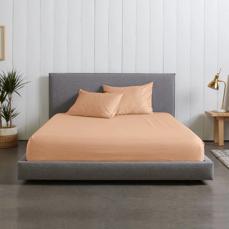Microfiber Brushed Fitted Sheet, Single (3'), Peach