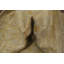 Tapis Oushak 7x9