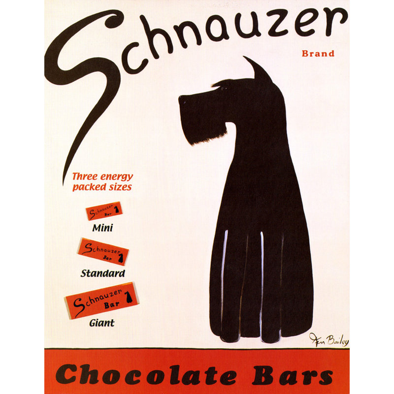 Schnauzer, H 18 po x l 14 po