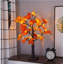 Arbre d'automne 24 po