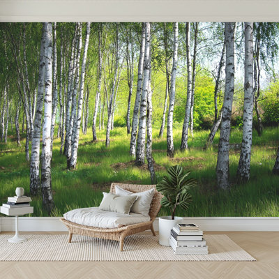 Peel and Stick Wallpaper 144" W x 100" H Modern Self Adhesive Wall Mural for Bedroom Beautiful birch trees white birch bark birch grove green
