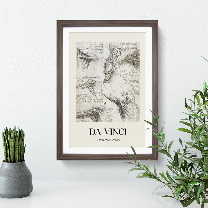 Human Anatomy Vol.3 by Leonardo Da Vinci - Picture Frame Drawing, Walnut Framed, 48cm H x 36cm W x 2cm D