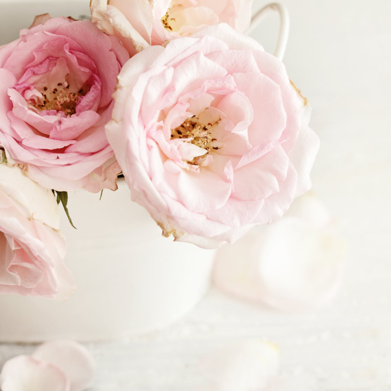 Fleurs roses - Photographie sur toile tendue, H 12 po x l 12 po