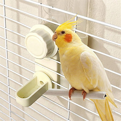 5.9 Bird Cage