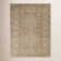 Oriental Indoor Rug