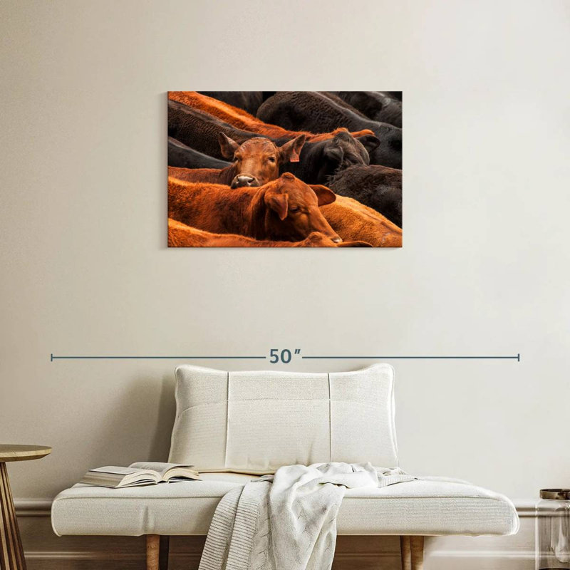 Beef Cattle, 20" H x 30" W