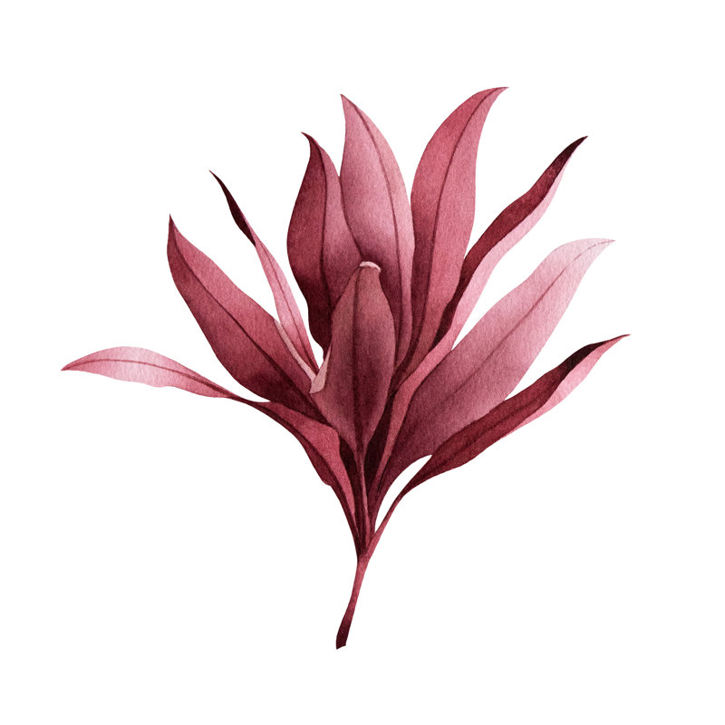 Tropical Plants - Wrapped Canvas Print, 30cm H x 30cm W