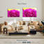 Harnek Hot Pink Mums