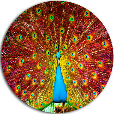 SX-SC668 Peacock Feathers: Decorative Films, LLC.