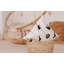 Coussin Halloween-103514924-103514925